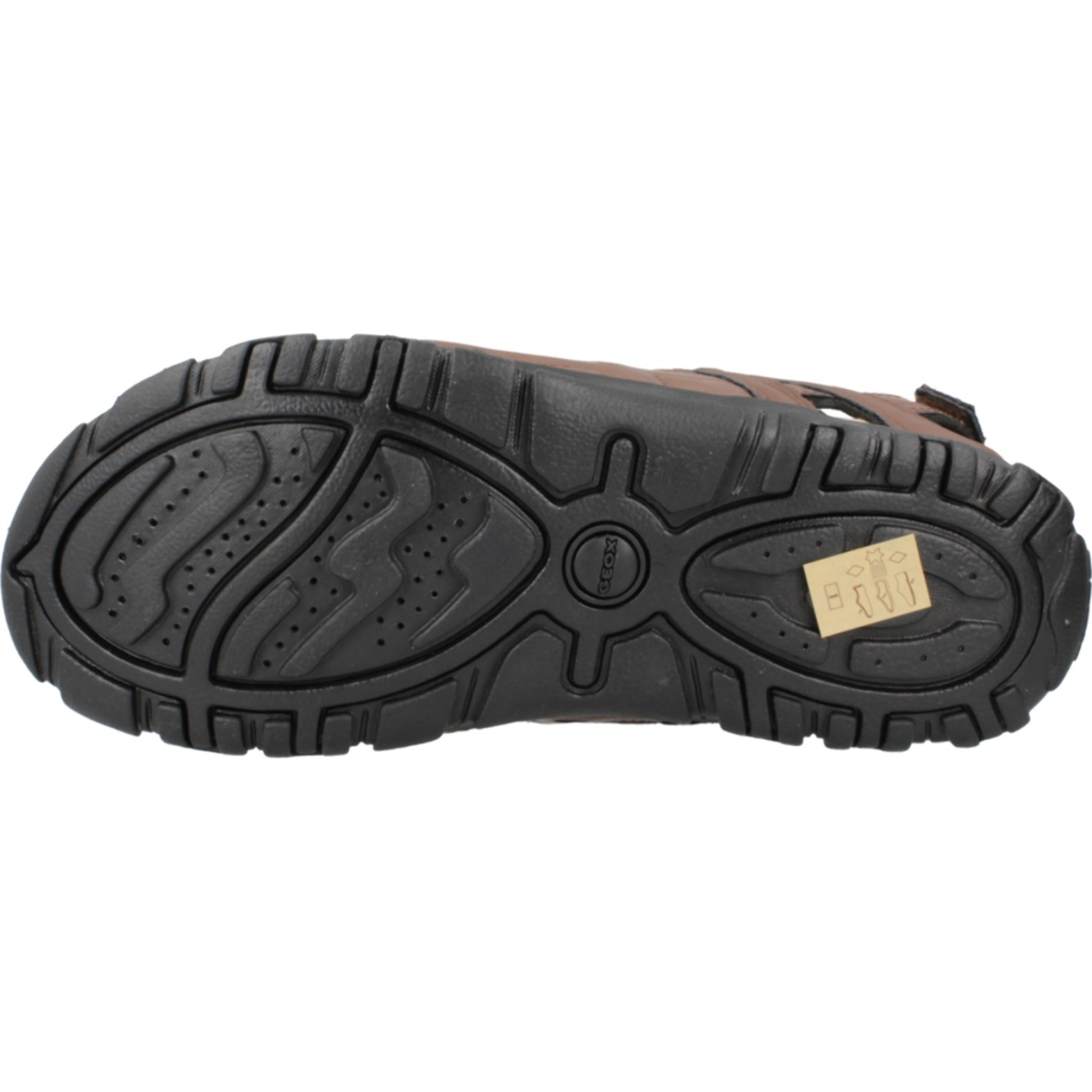 Sandalias Hombre de la marca GEOX  modelo U S STRADA C Brown