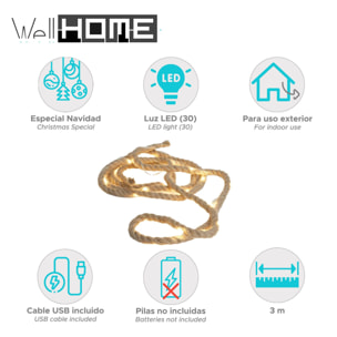guirnalda en cuerda de 3m con 30 luces led blanco cálido