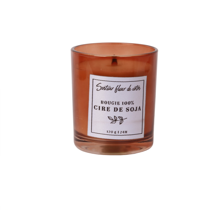 Bougie Parfumee Cire De Soja Et Boite H8cm