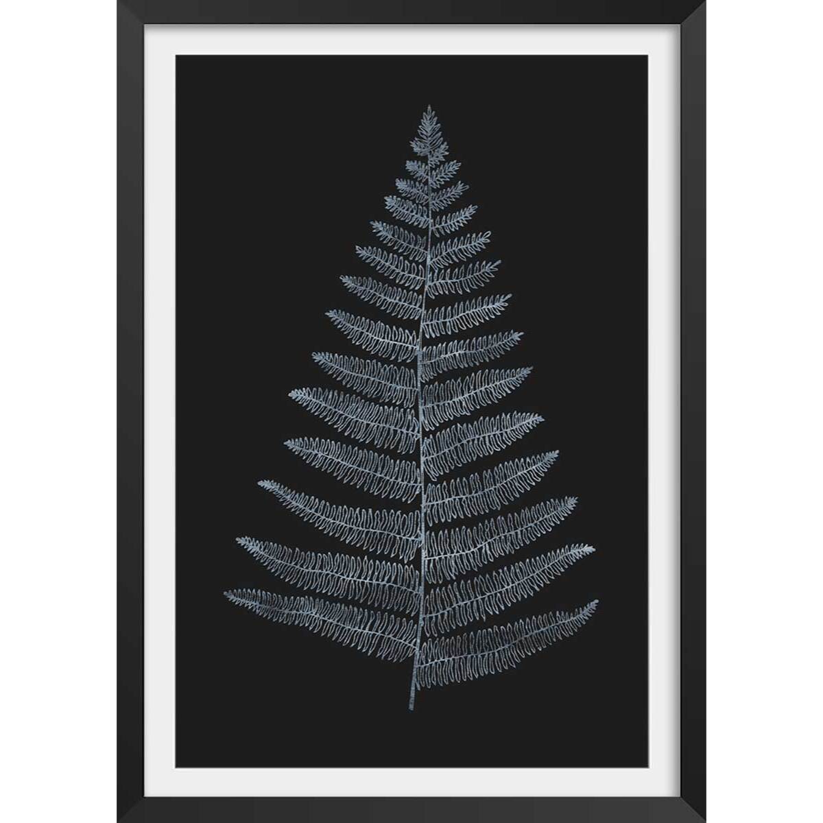 Poster fougère royale blanche Affiche + cadre en bois - Noir