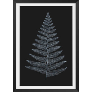 Poster fougère royale blanche Affiche + cadre en bois - Noir
