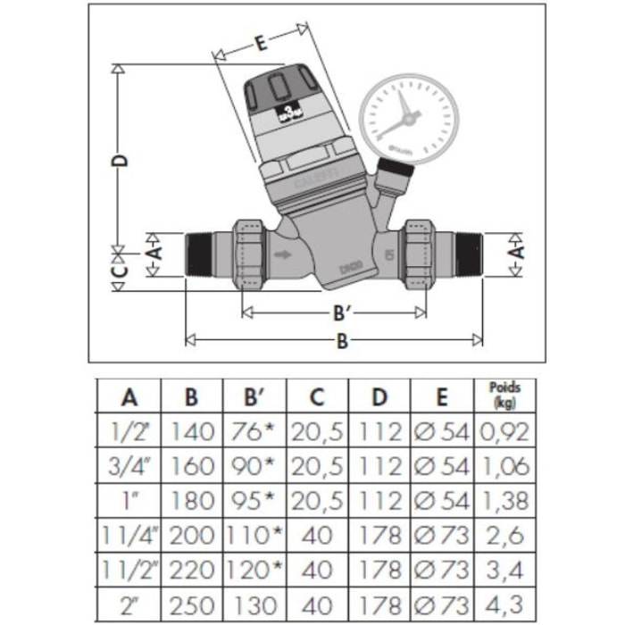 Réducteur de pression 535 3/4' THERMADOR avec RU et manomètre - R53520