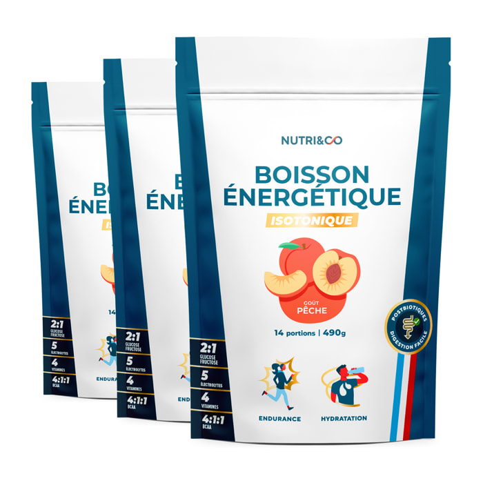 Boisson Énergétique Isotonique en Poudre – Running, Vélo, Hyrox – 490g goût pêche - Lot de 3