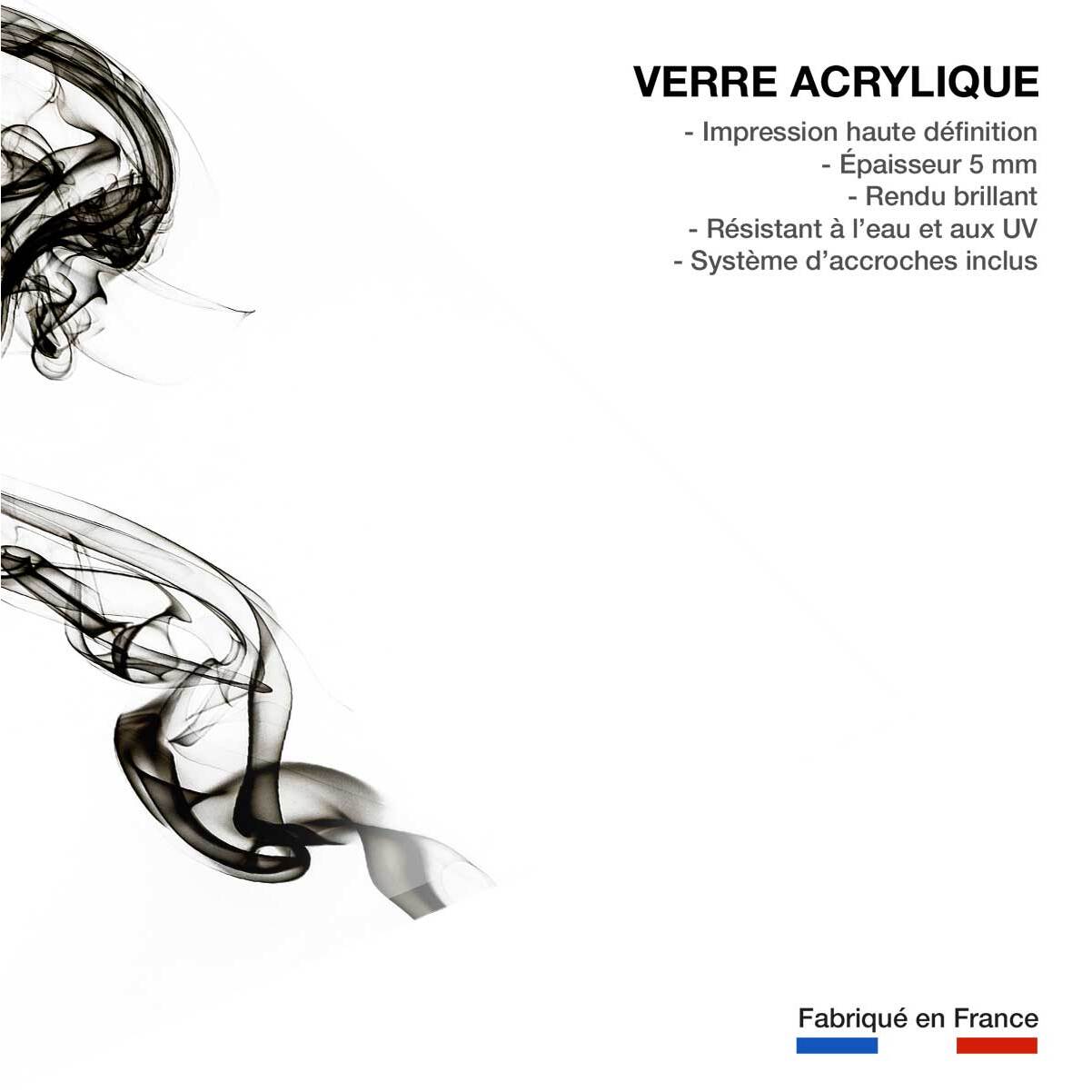 Tableau black smoke medusa Tableau plexiglas