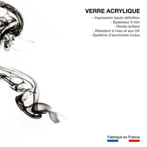 Tableau black smoke medusa Tableau plexiglas