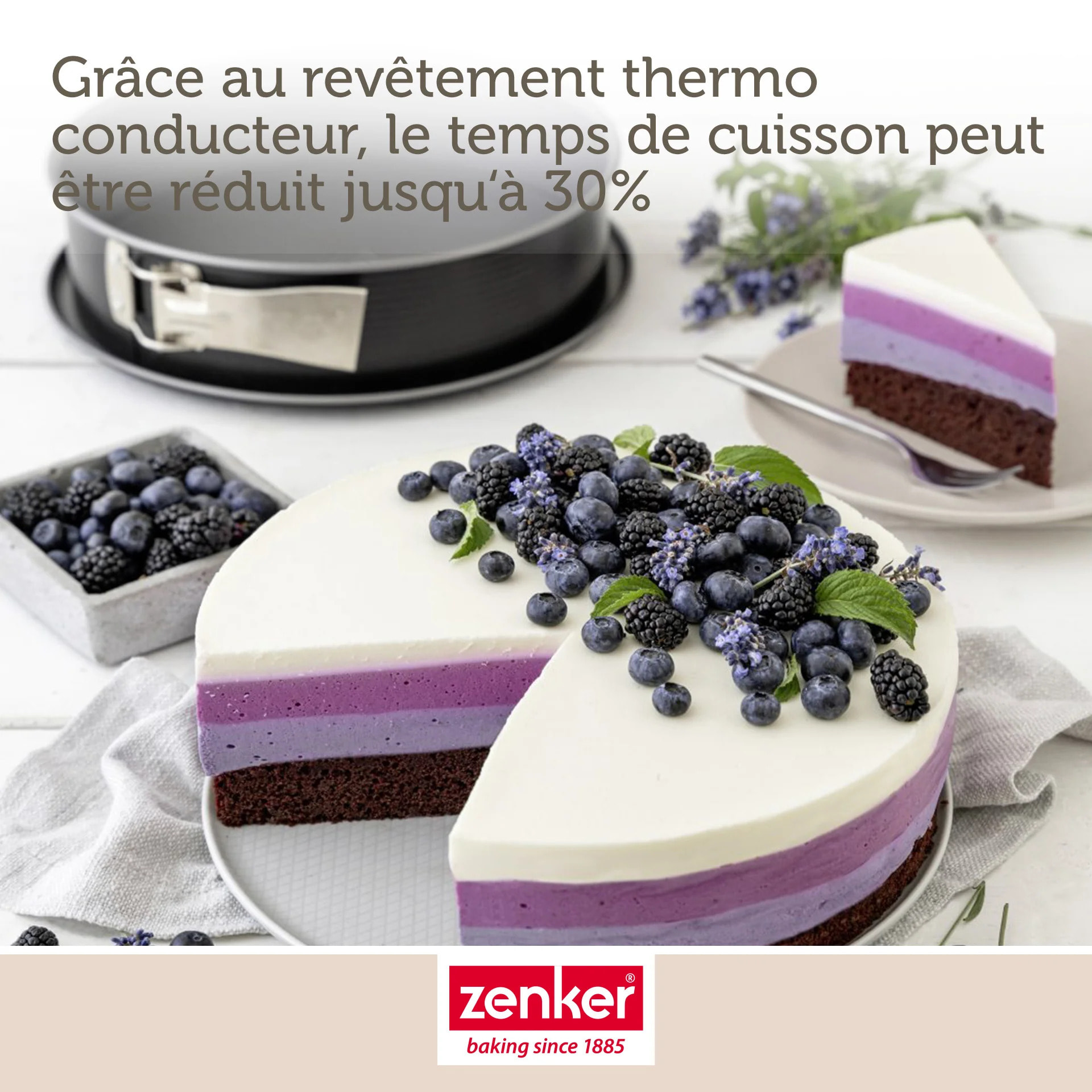 Moule à manqué à charnière en acier Zenker Energy