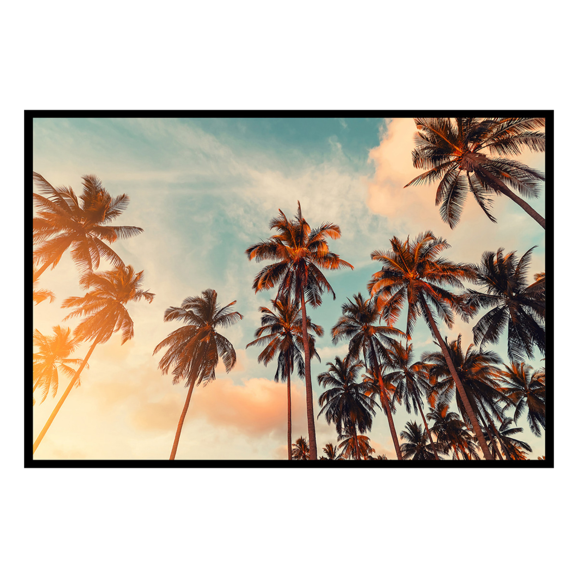 Affiche encadrée palmiers tropicaux Affiche + cadre en métal - Noir