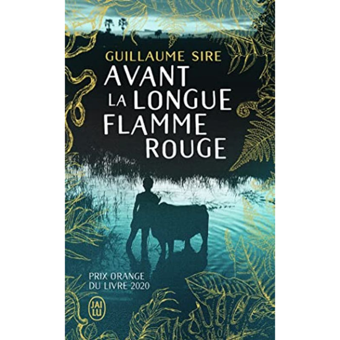 Sire, Guillaume | Avant la longue flamme rouge | Livre d'occasion