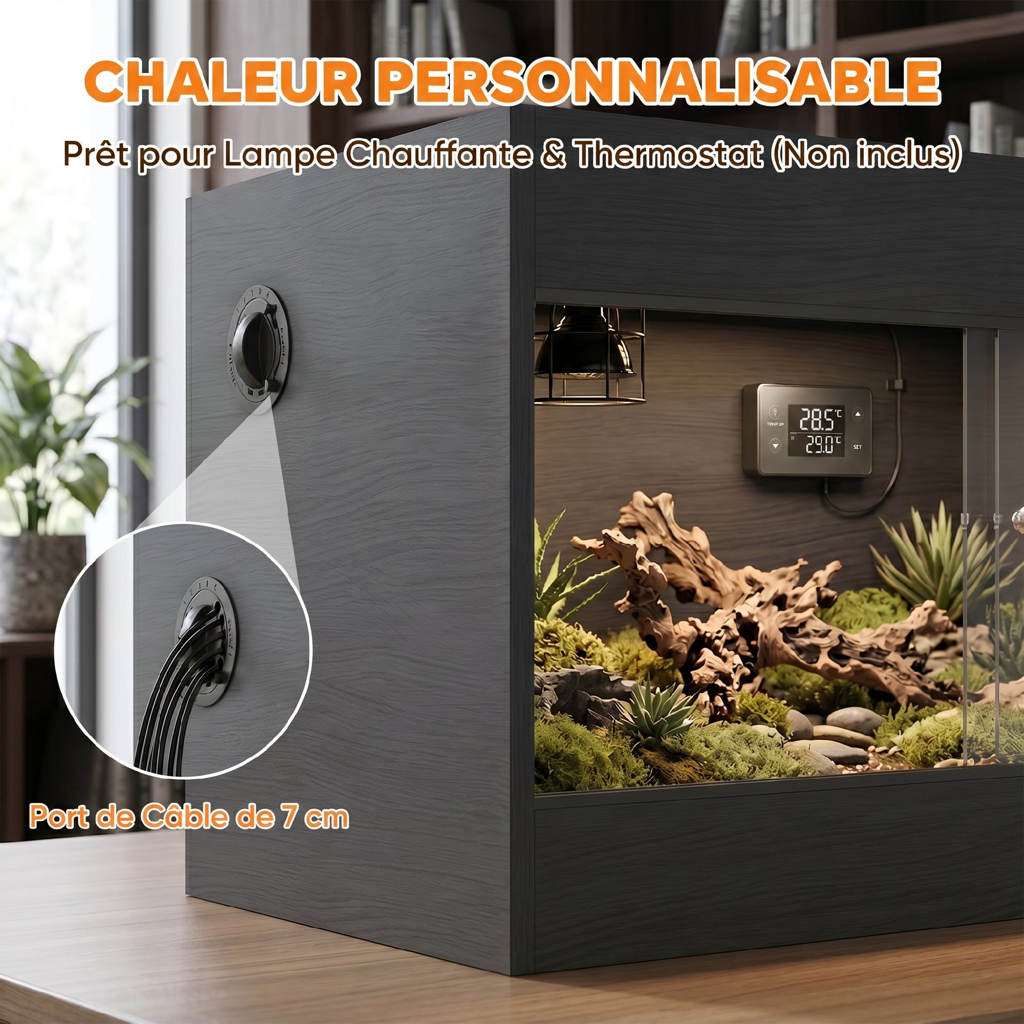 Terrarium design effet bois noir porte verre verrouillable 60x45x45cm