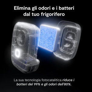 Shelfy, purificatore per frigorifero che riduce cattivi odori, batteri ed estende la freschezza del cibo