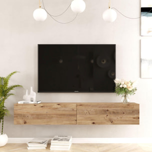 Mueble Elegante Tv Futura 2 Puertas