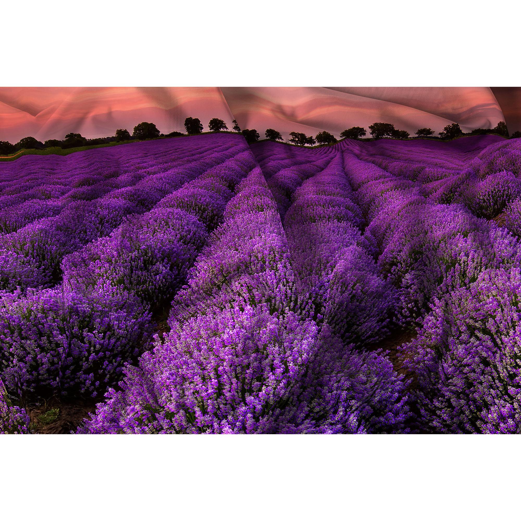 PARURE COPRIPIUMINO STAMPA DIGITALE GOODNIGHT MADE IN ITALY MICROFIBRA- LAVANDER SINGOLO