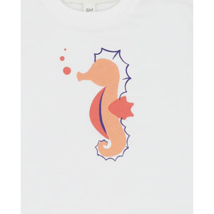 CAMISETA CABALLITO DE MAR NARANJA