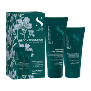 ALFAPARF MILANO Set Semi Di Lino Reconstruction Reparative Shampoo 75ml + Mask 50ml