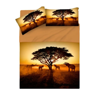 INTRECCI Set Lenzuola Una Piazza e Mezza in Cotone, Stampa Alta Qualità, Lenzuolo Sotto + Lenzuolo Sopra + 1 Federa, Comfort, per Pelli Sensibili, non Stringe in Lavatrice. Fantasia: Savana