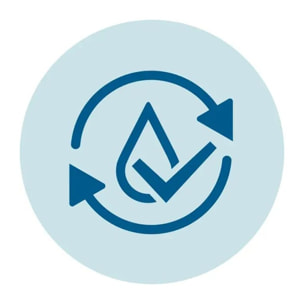 Pastille PHILIPS-SAECO Pastille dégraissante CA6704/10