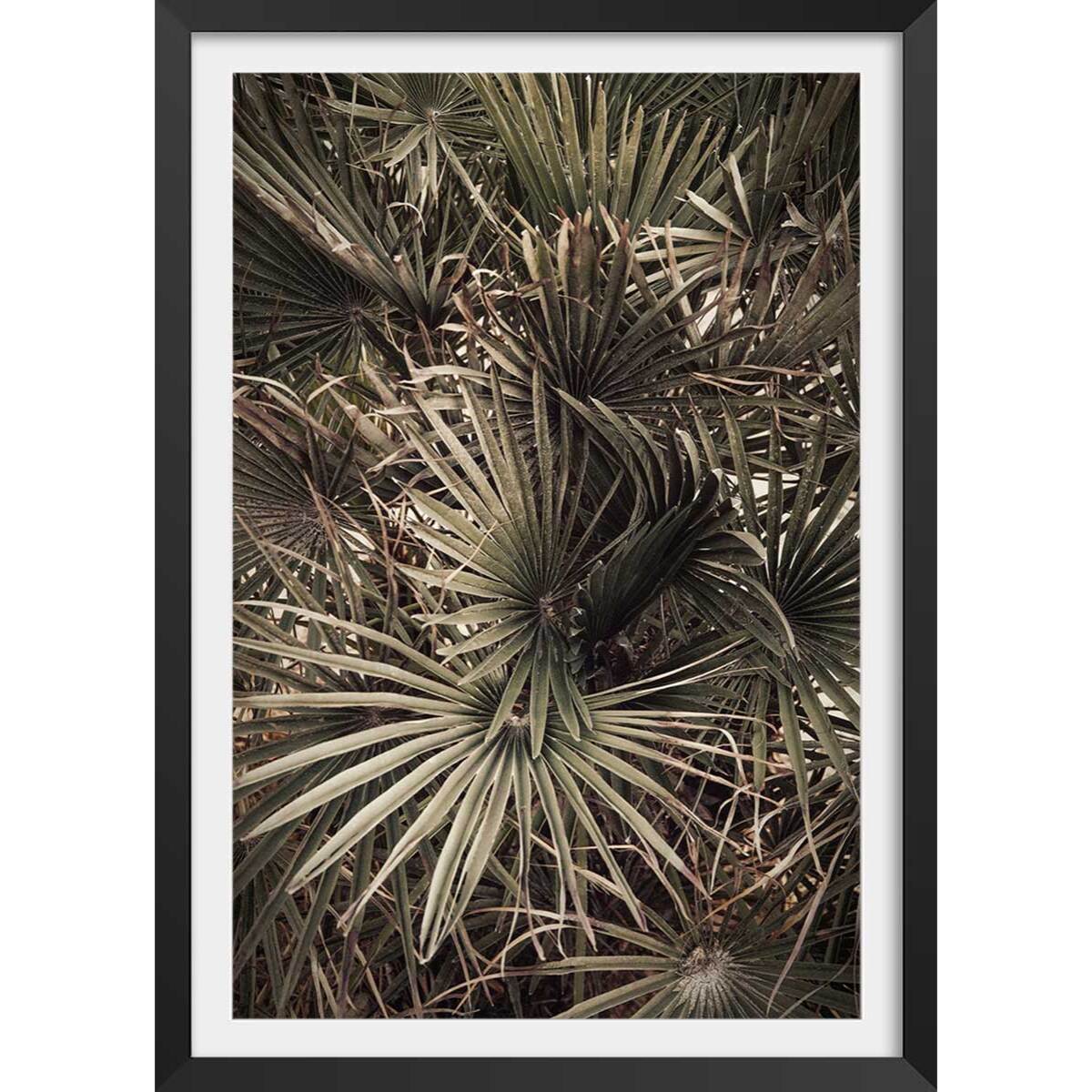 Poster tropicana mood Affiche + cadre en bois - Noir