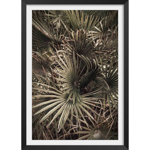 Poster tropicana mood Affiche + cadre en bois - Noir