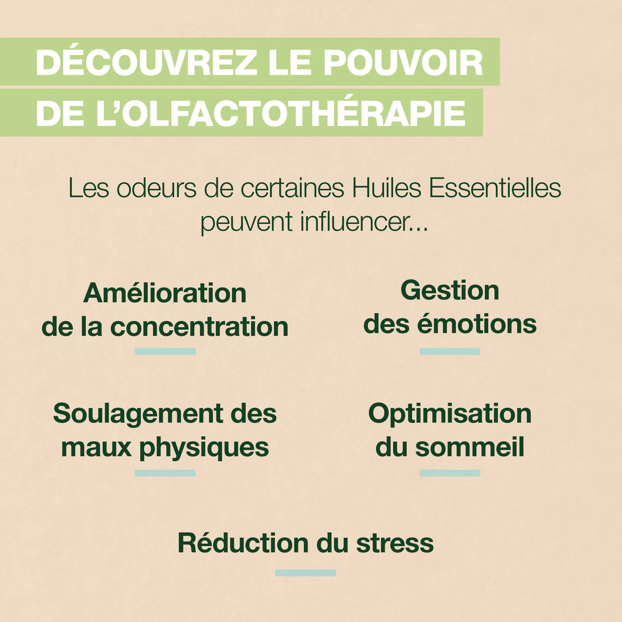 Pranarom - Roll-on Diet - Bio - 5 ml roller