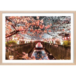 Affiche photo cerisiers et hanami à tokyo Affiche + cadre en bois - Chêne