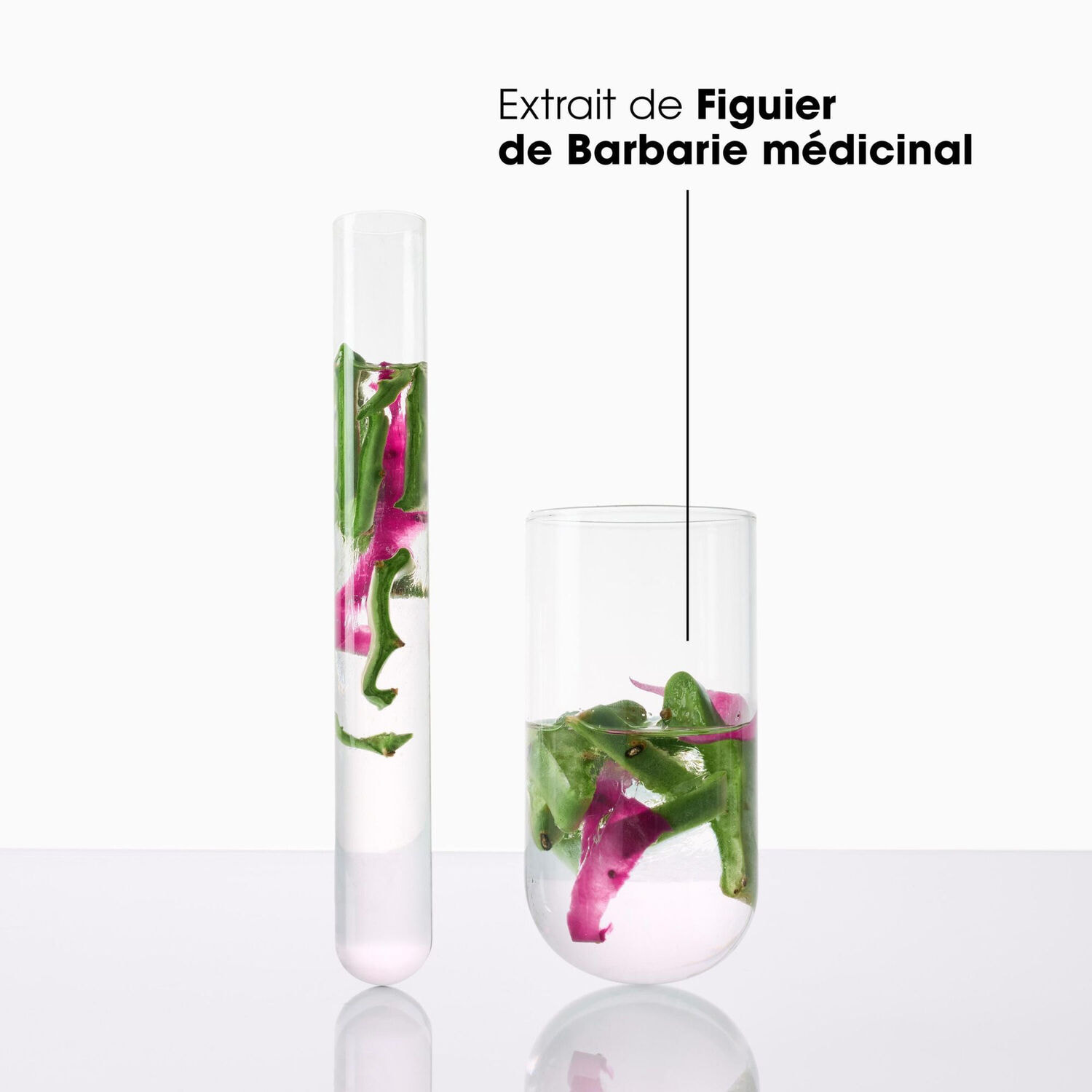 Figuier de Barbarie - Après-Shampooing Désaltérant 200 ml