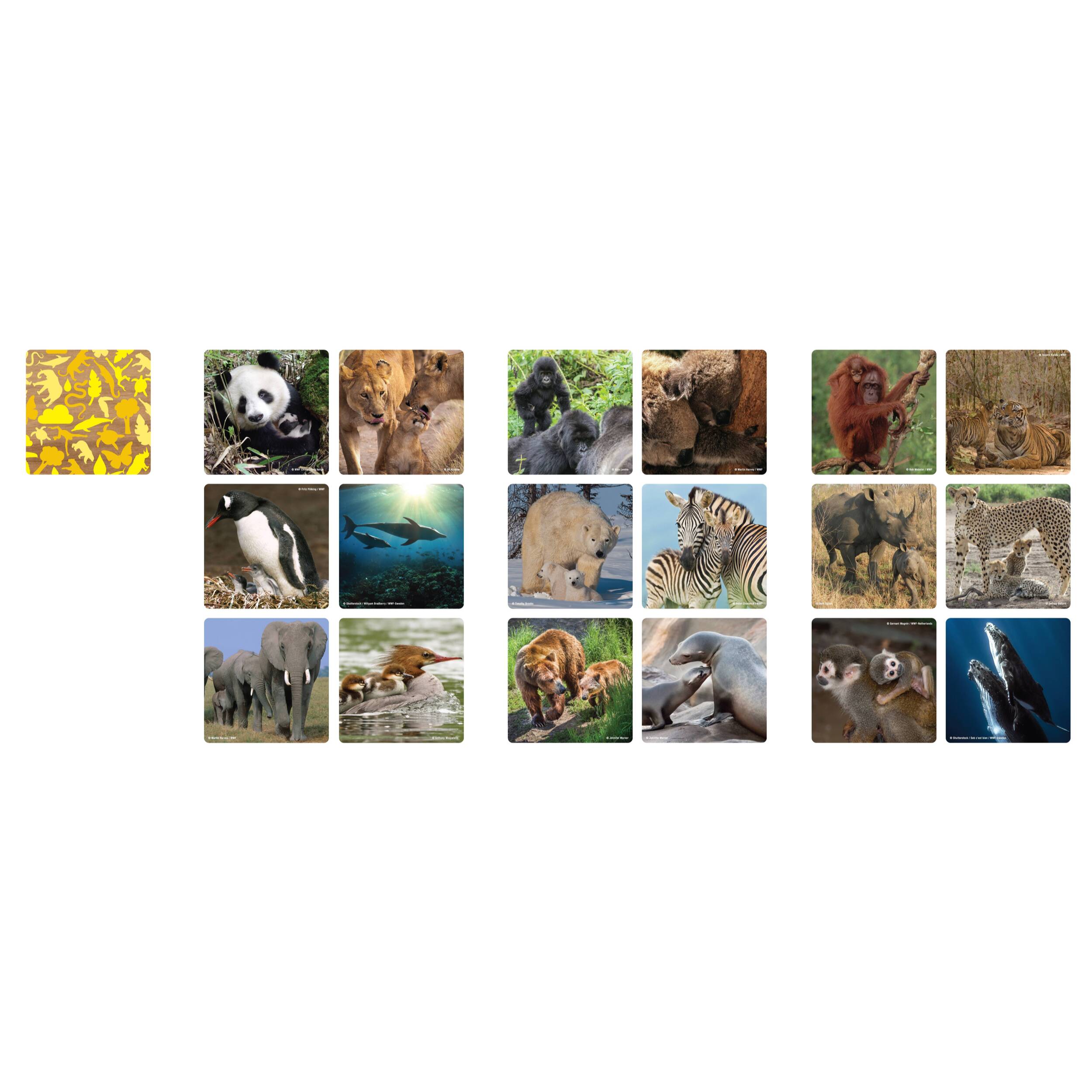 WWF JUEGO DE MEMORIA PAREJAS - FAMILIAS 36 PCS