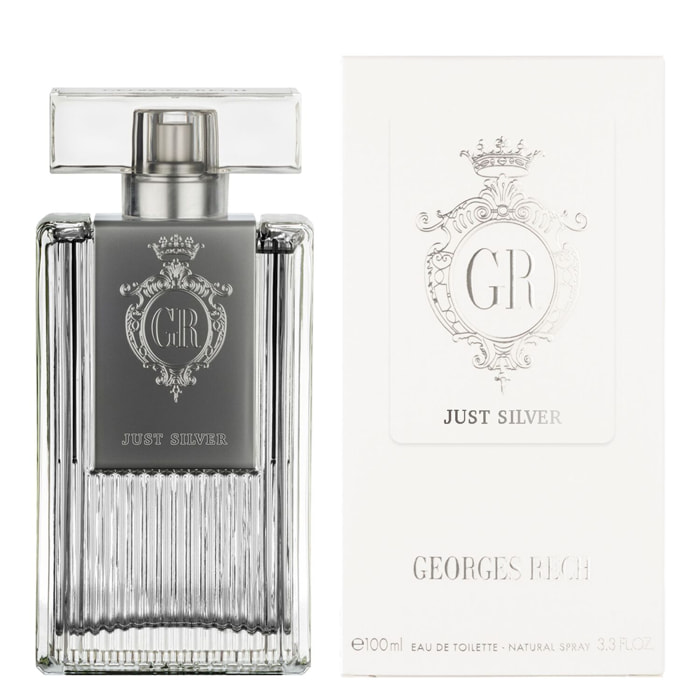 Just Silver - Eau De Toilette 100 ml