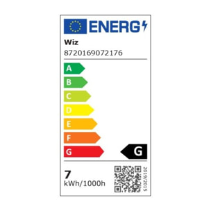 Ampoule LED connectée WIZ Couleur E27 Filament 40W
