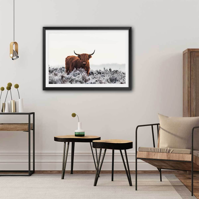 Poster highland sous la neige Affiche sous cadre noir