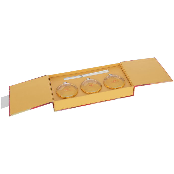 J-Line huile parfumée + bâtons Tequila Sunrise - verre - mix - boîte de 3