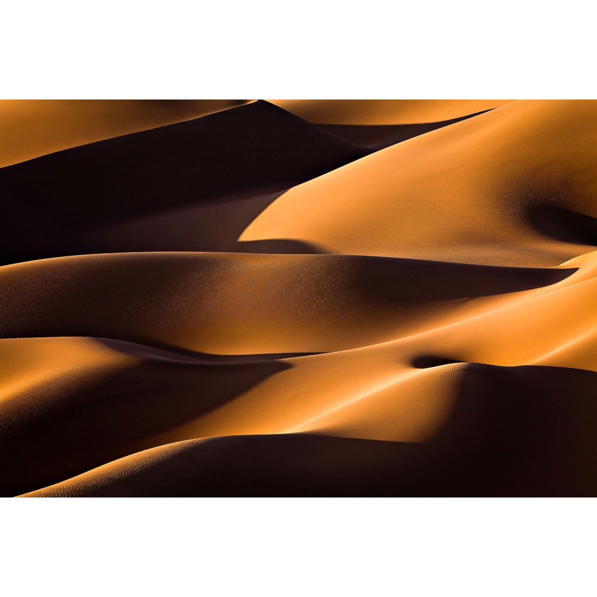 Tableau dune et lumière Tableau alu Dibond