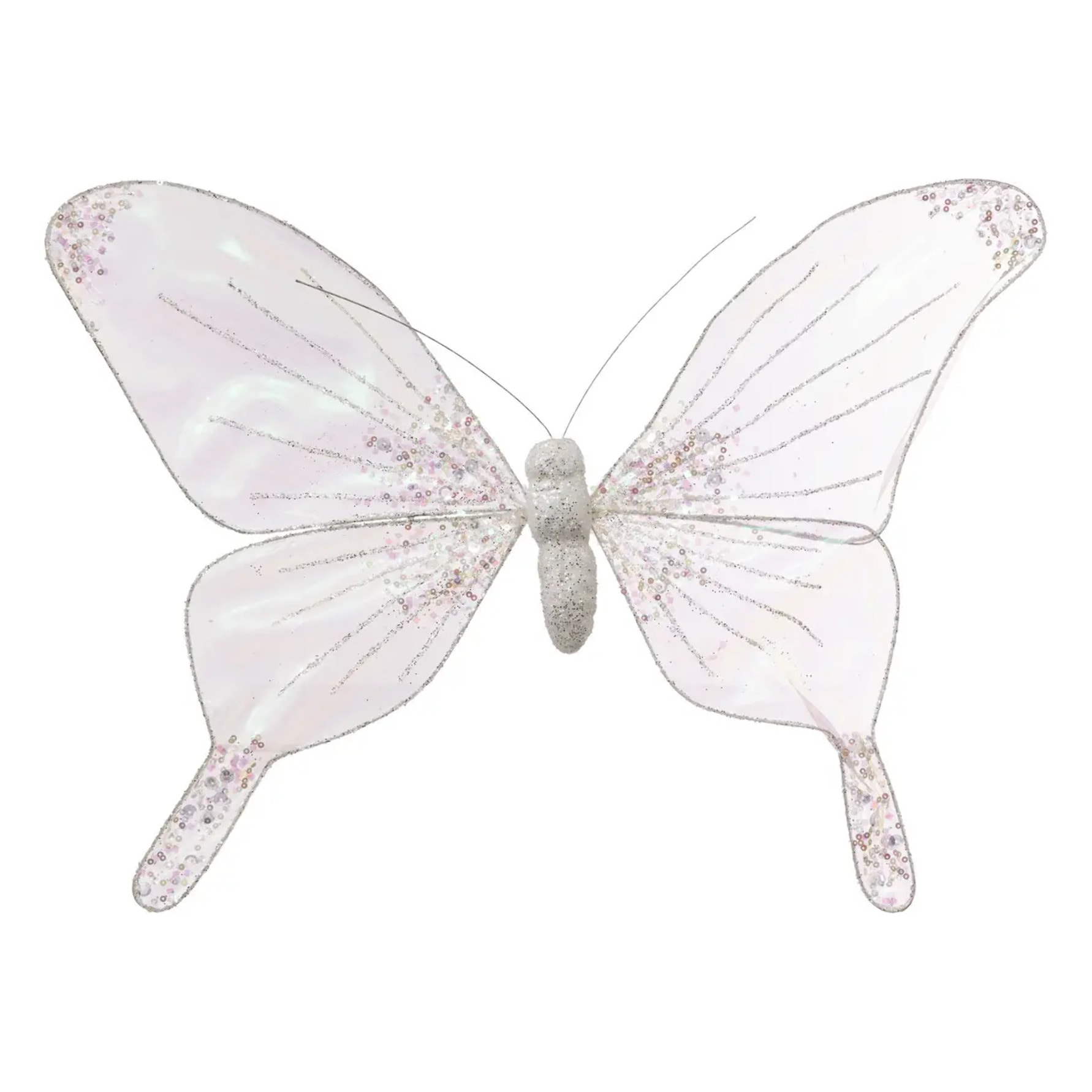 Papillon 45cm