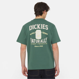 CAMISETA DICKIES ELLISTON TEE SS