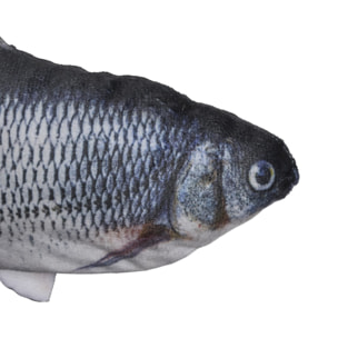 Jeu Interactif Poisson Pour Animaux2