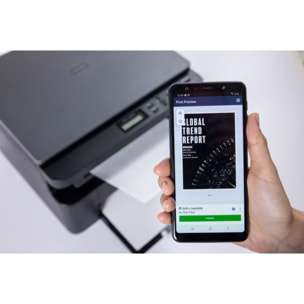 Imprimante multifonction BROTHER DCP-L1642W