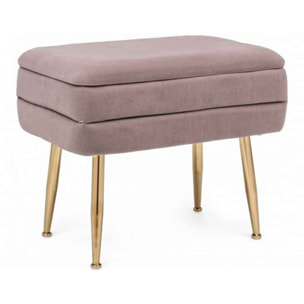 PANCA CONTENITORE PAVLINA MAUVE 50X35X42 cm