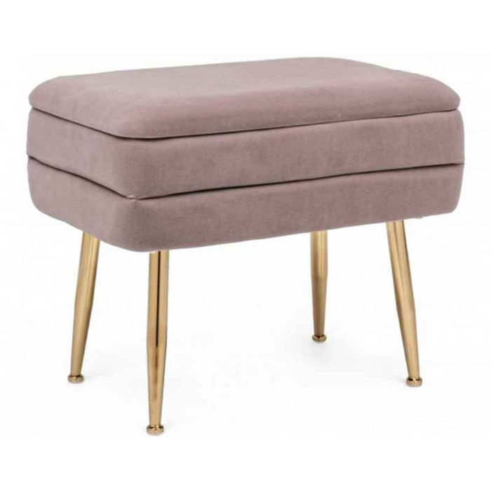 PANCA CONTENITORE PAVLINA MAUVE 50X35X42 cm