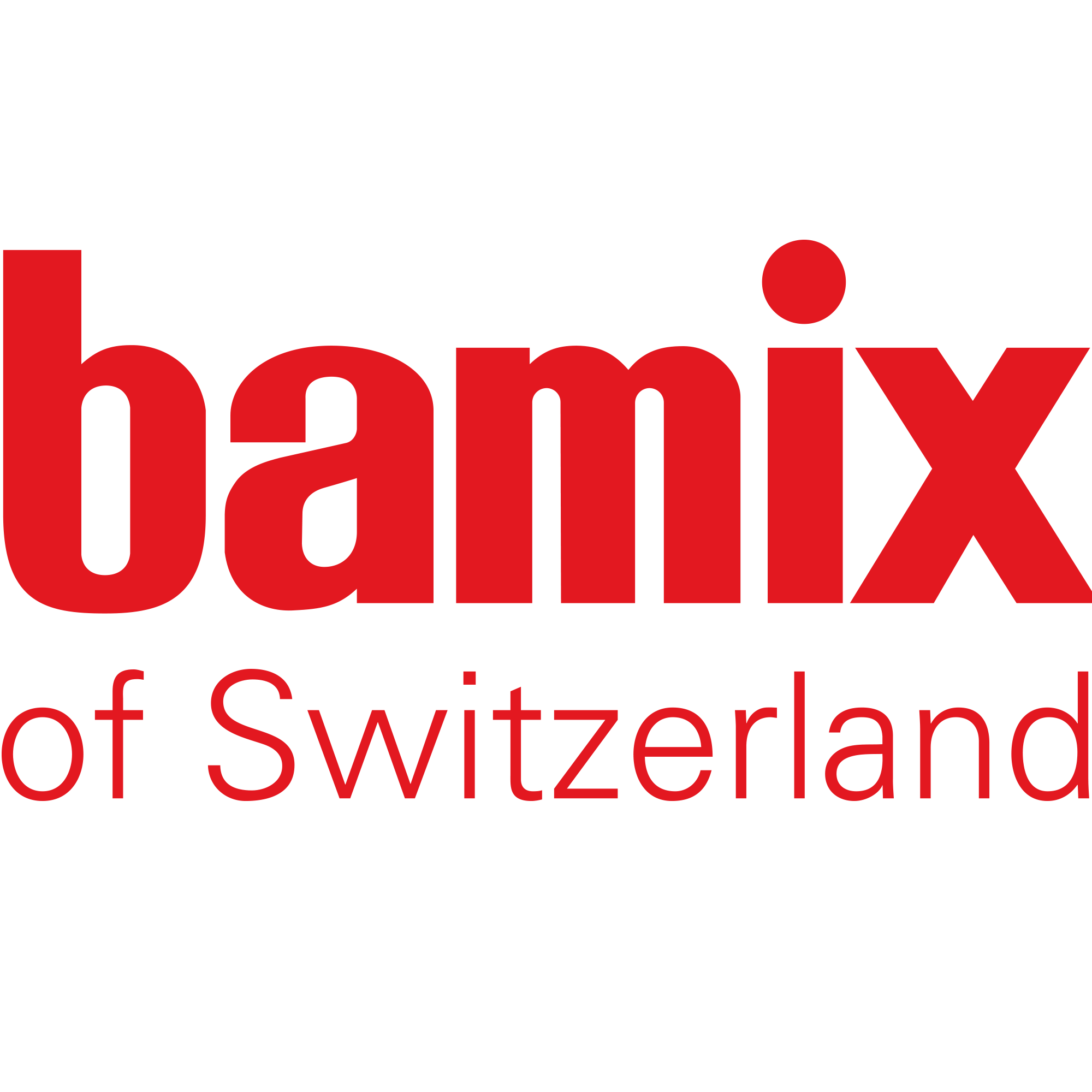 BAMIX