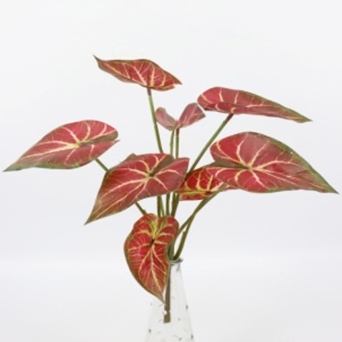 Syngonium 31 Cm Per 9 Real Touch - Pezzi 6 - 23X31X23cm - Colore: Rosso - Bianchi Dino - Piante Artificiali