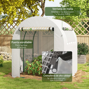 Invernadero de Jardín 180x180x200 cm Invernadero de Túnel Pequeño con Puerta Enrollable y Ventana de Malla para Cultivar Plantas Flores Blanco
