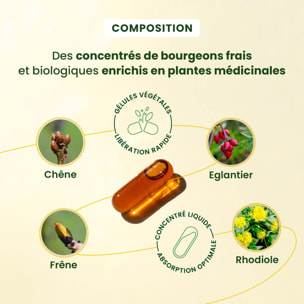 Herbalgem- Complément alimentaire Moral+ - 30 GELULES