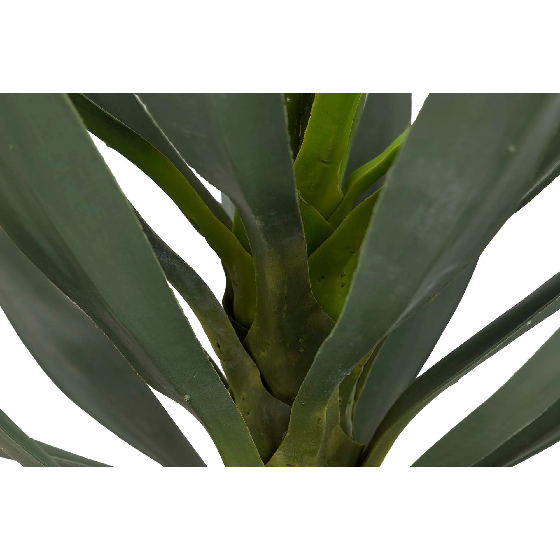 Planta Yucca Con Maceta 70x70x70 Cm