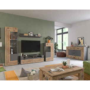 Wexford - meuble tv - gris et effet bois - 1 porte - 140 cm - Bois / Gris