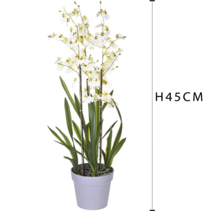 Orchidea Oncidium A 3 Diramazioni Con Vaso. Altezza 45 Cm - Pezzi 1 - 26X45X25cm - Colore: Bianco - Bianchi Dino - Piante Artificiali