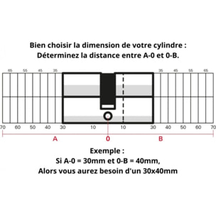 Cylindre de serrure double entrée SA, 30 x 30 mm, anti-arrachement, nickel, 3 clés - 1 pièce - THIRARD - 00016258