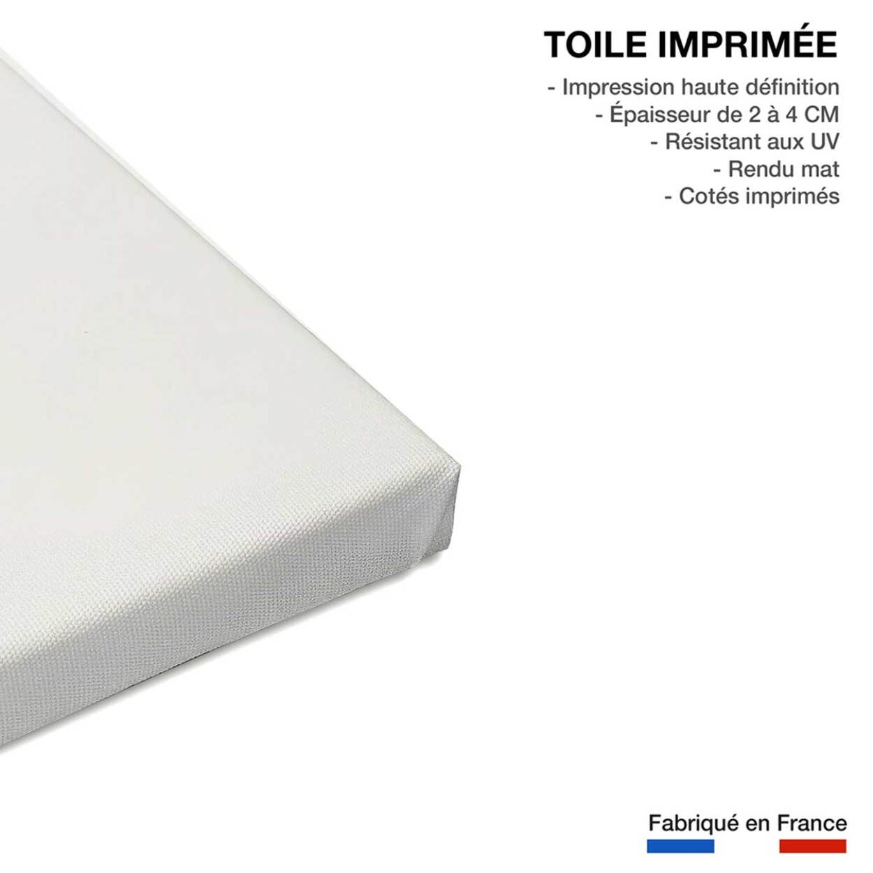 Tableau monstera perfect Toile imprimée