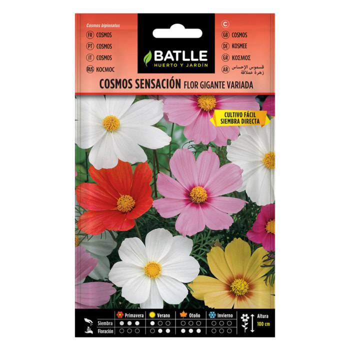 Semillas de Cosmos sensación flor gigante Batlle