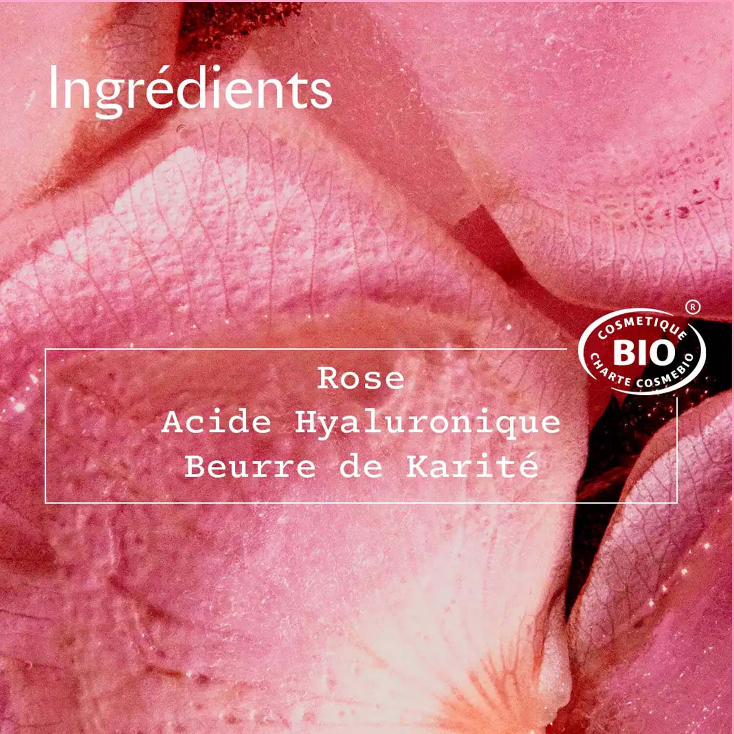Rosa Fresca - Crème Nuit Régénérante 50 ml