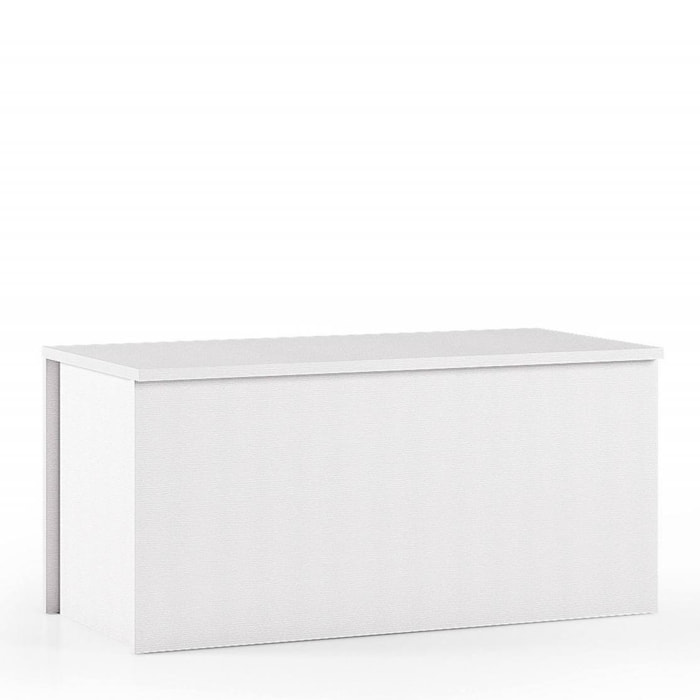 Baule Miltonia, Capiente box contenitore multiuso, Cassapanca moderna, 100% Made in Italy, Cm 90x45h45, Bianco