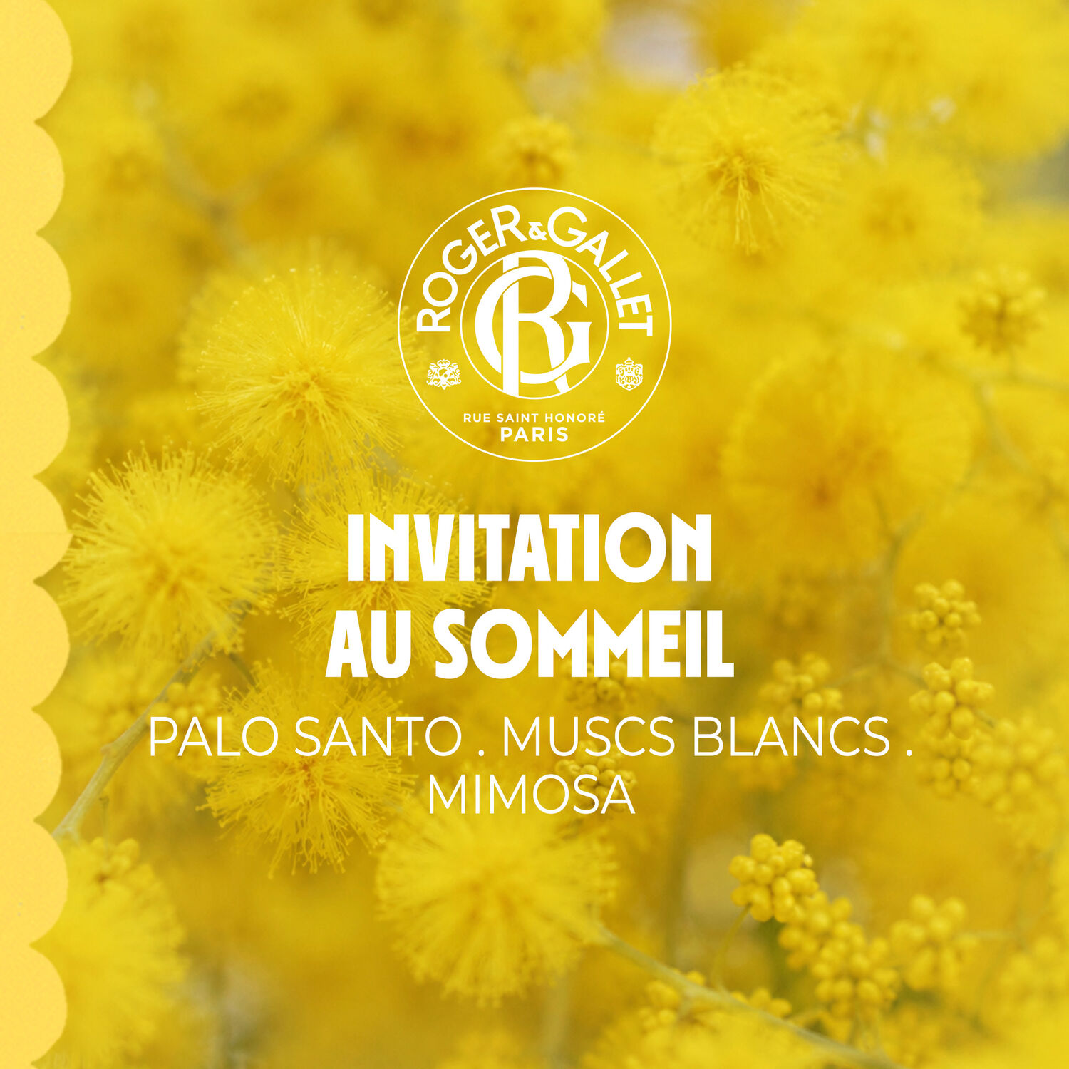 Coucouning - Parfum d'Intérieur 100 ml